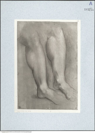 Vorderseite von bh492276_recto