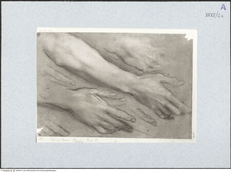 Vorderseite von bh492277_recto