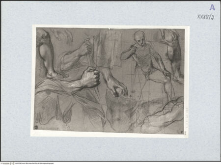 Vorderseite von bh492280_recto