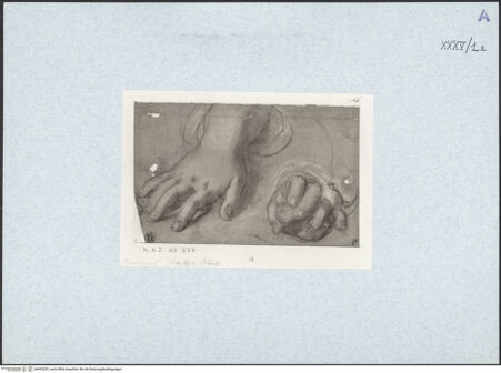 Vorderseite von bh492281_recto