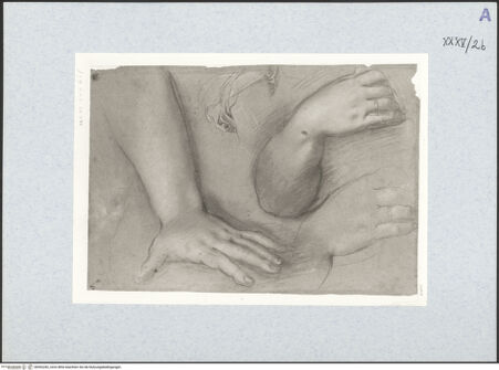 Vorderseite von bh492282_recto