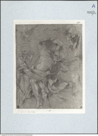 Vorderseite von bh492283_recto