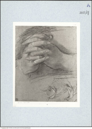 Vorderseite von bh492284_recto