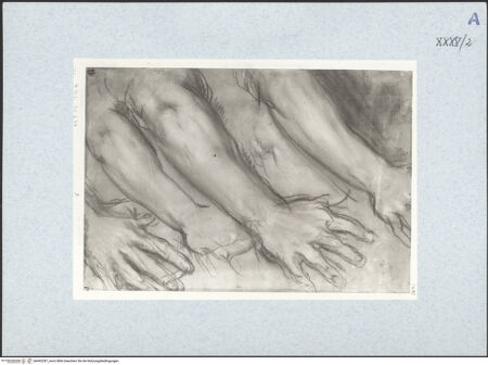 Vorderseite von bh492287_recto