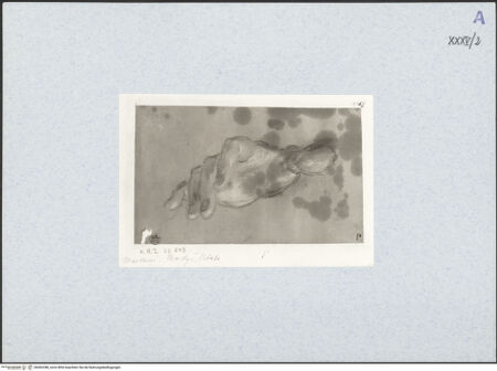 Vorderseite von bh492288_recto