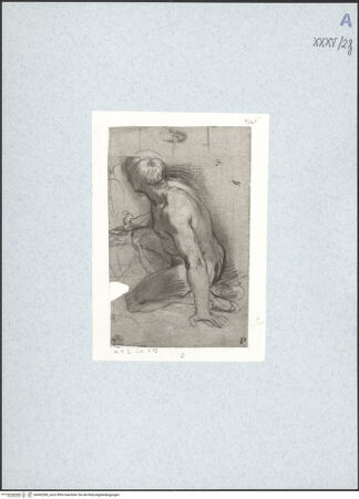 Vorderseite von bh492289_recto