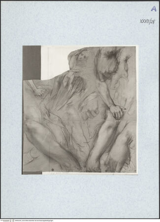 Vorderseite von bh492292_recto