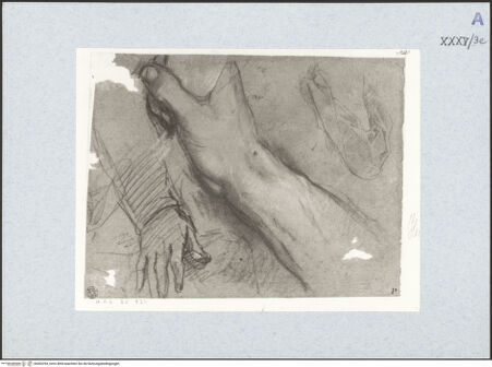 Vorderseite von bh492294_recto