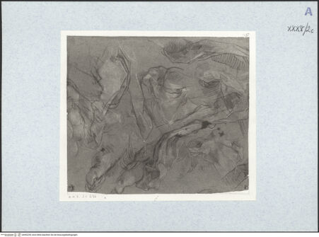 Vorderseite von bh492295_recto