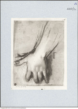 Vorderseite von bh492301_recto