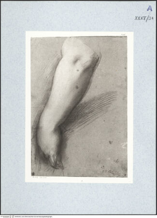 Vorderseite von bh492302_recto