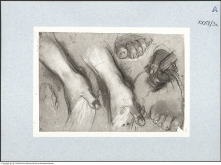 Vorderseite von bh492303_recto