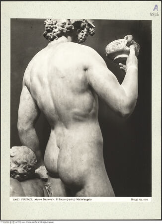 Vorderseite von bh492361_recto