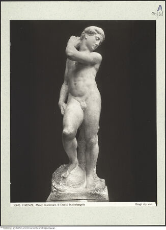 Vorderseite von bh492367_recto