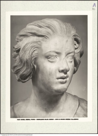 Vorderseite von bh492374_recto