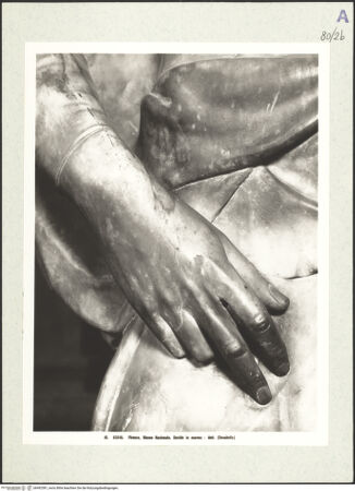 Vorderseite von bh492381_recto