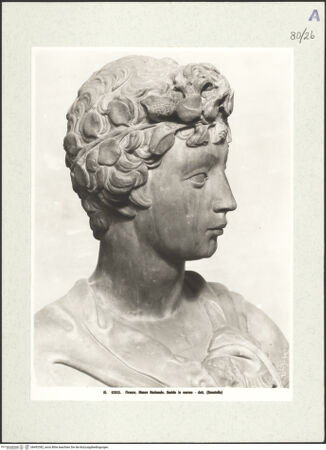 Vorderseite von bh492382_recto