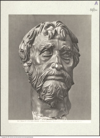 Vorderseite von bh492394_recto