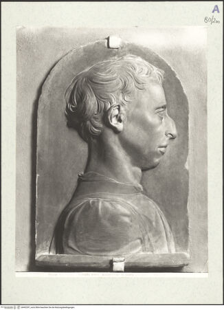 Vorderseite von bh492397_recto