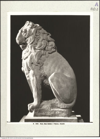 Vorderseite von bh492415_recto