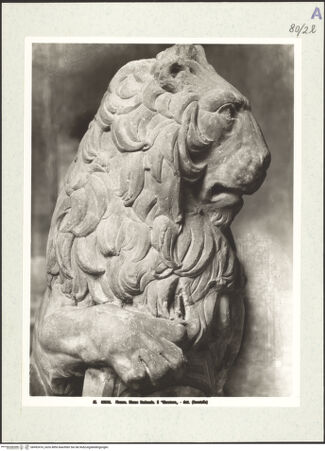 Vorderseite von bh492416_recto