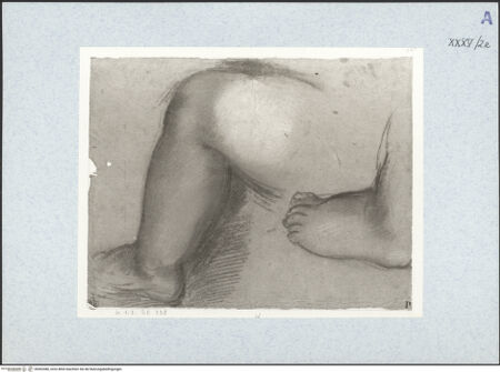 Vorderseite von bh492486_recto