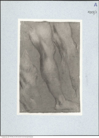 Vorderseite von bh492488_recto