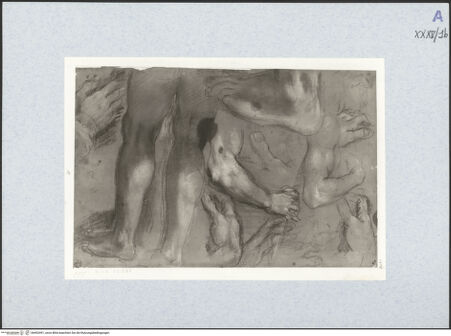 Vorderseite von bh492491_recto