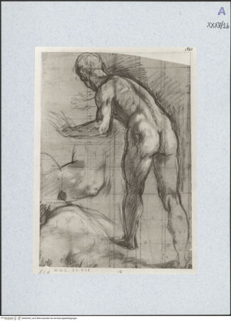 Vorderseite von bh492492_recto