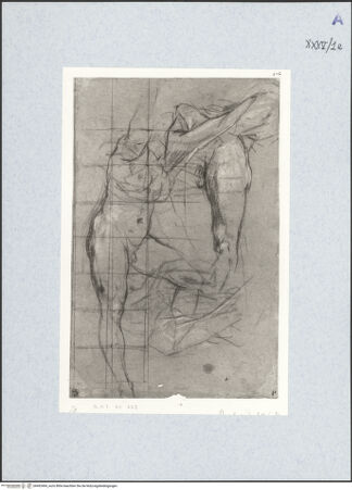 Vorderseite von bh492494_recto