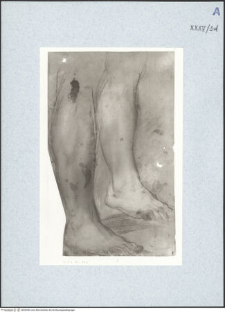 Vorderseite von bh492495_recto