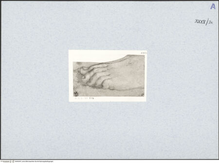 Vorderseite von bh492497_recto