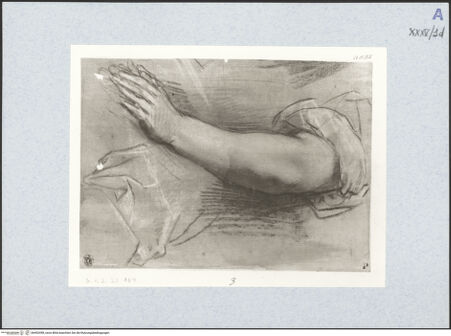 Vorderseite von bh492498_recto