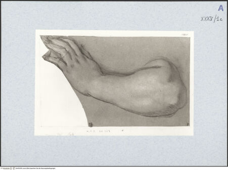 Vorderseite von bh492499_recto