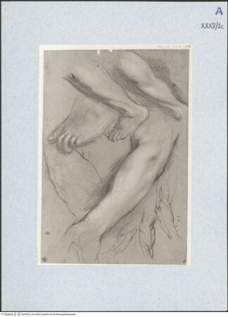 Vorderseite von bh492503_recto