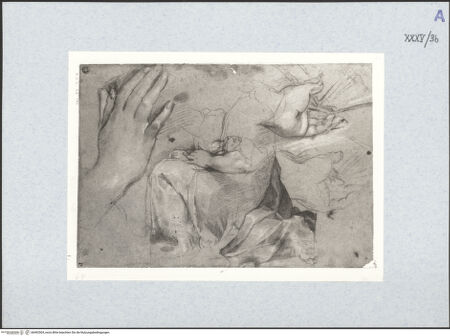 Vorderseite von bh492504_recto