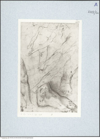 Vorderseite von bh492506_recto