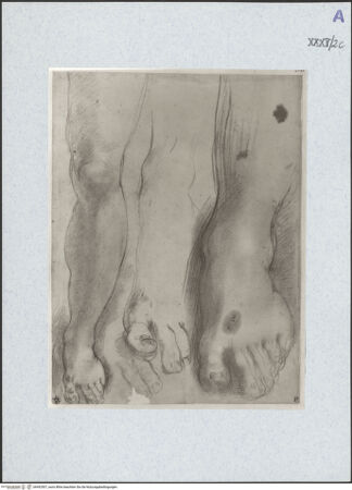 Vorderseite von bh492507_recto