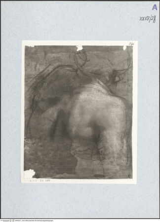 Vorderseite von bh492511_recto