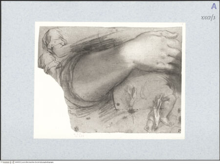 Vorderseite von bh492512_recto