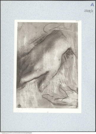 Vorderseite von bh492513_recto