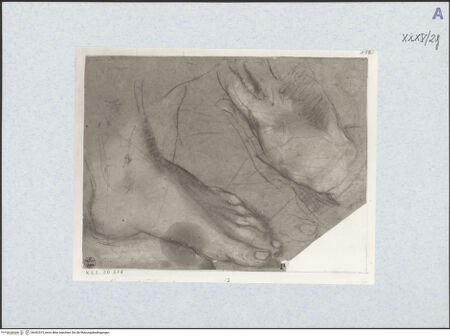 Vorderseite von bh492515_recto