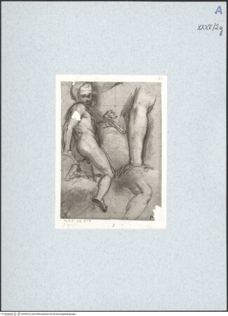 Vorderseite von bh492516_recto