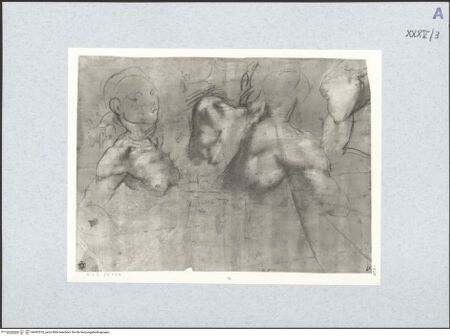 Vorderseite von bh492518_recto