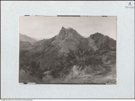 Vorderseite von bh492521_recto