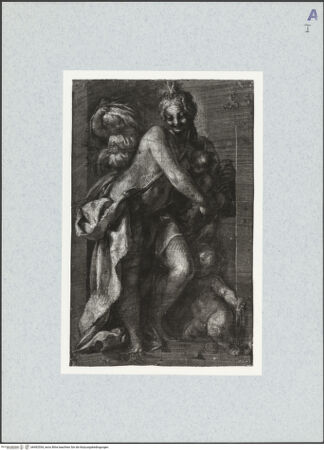 Vorderseite von bh492554_recto