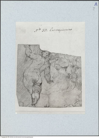 Vorderseite von bh492566_recto