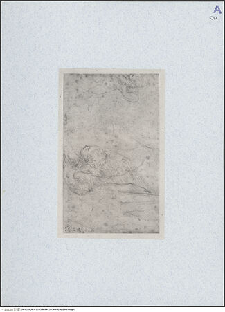 Vorderseite von bh492568_recto