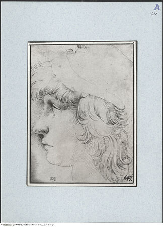 Vorderseite von bh492572_recto