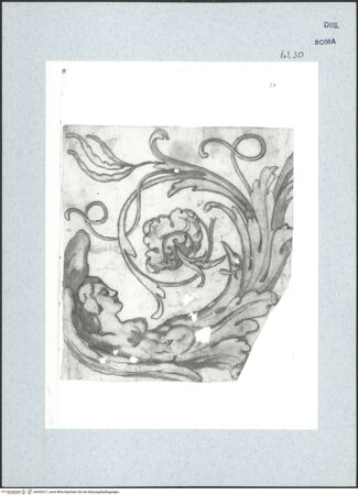 Vorderseite von bh492617_recto